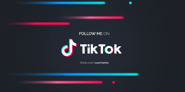 Wiederherstellen des TikTok-Kontos 1